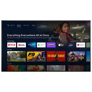 Majestic 24" Google TV/DVD with Chromecast (Pre-Tuned for NZ)