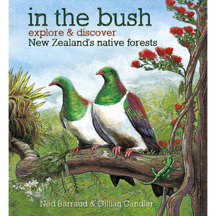 In The Bush: Explore and Discover New Zealand's Native Forests - by Gillian Chandler