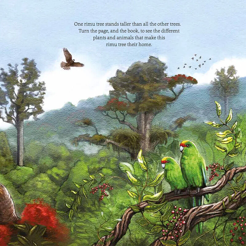 In The Bush: Explore and Discover New Zealand's Native Forests - by Gillian Chandler