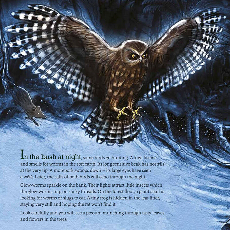 In The Bush: Explore and Discover New Zealand's Native Forests - by Gillian Chandler