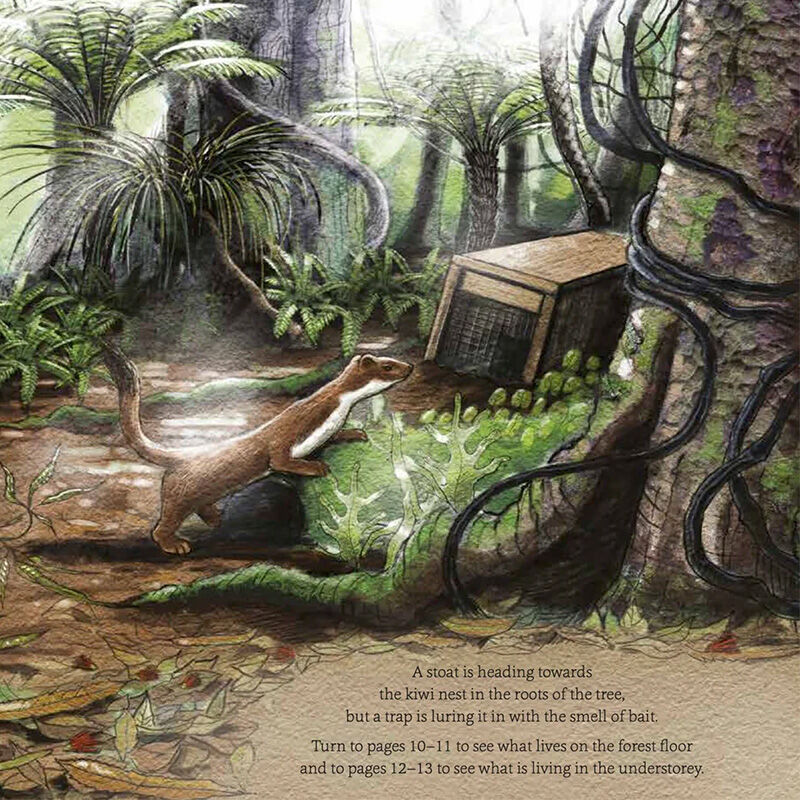 In The Bush: Explore and Discover New Zealand's Native Forests - by Gillian Chandler