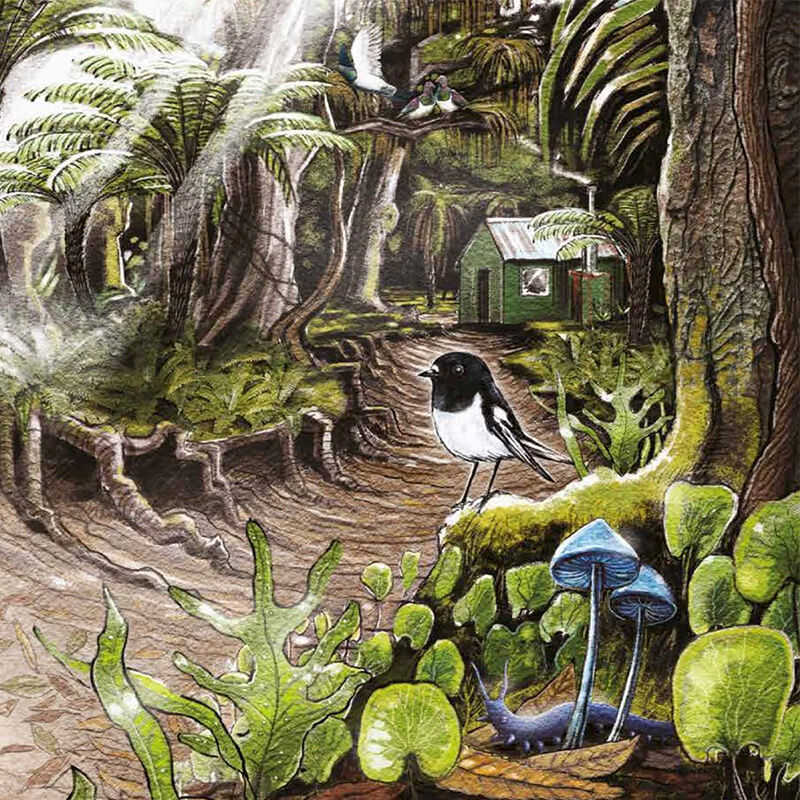 In The Bush: Explore and Discover New Zealand's Native Forests - by Gillian Chandler