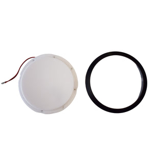 Interior Downlight with Black Trim 140mm 12V Warm White